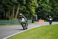 cadwell-no-limits-trackday;cadwell-park;cadwell-park-photographs;cadwell-trackday-photographs;enduro-digital-images;event-digital-images;eventdigitalimages;no-limits-trackdays;peter-wileman-photography;racing-digital-images;trackday-digital-images;trackday-photos